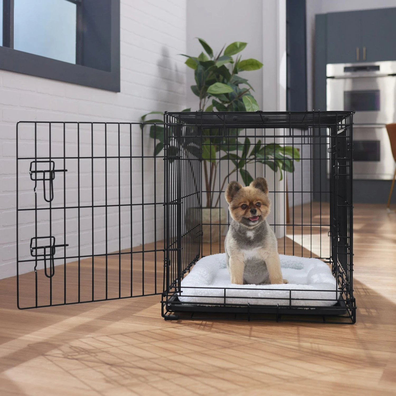 Frisco Heavy Duty Fold & Carry Double Door Collapsible Wire Dog Crate Frisco Heavy Duty Fold & Carry Double Door Collapsible Wire Dog Crate -Frisco Sales Store 109789 MAIN. AC SS1800 V1668117063