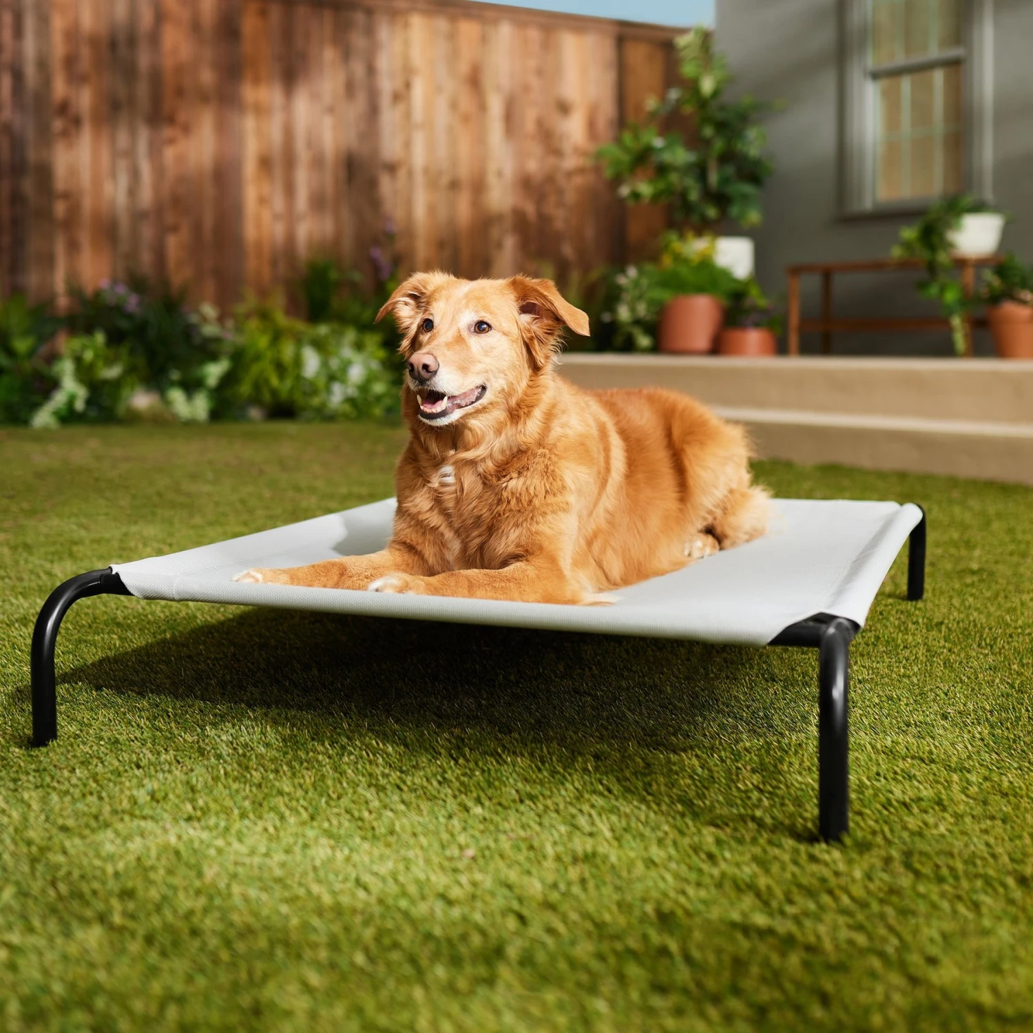Frisco Steel-Framed Elevated Dog Bed Frisco Steel-Framed Elevated Dog Bed -Frisco Sales Store 112076 MAIN. AC SS1800 V1674156718