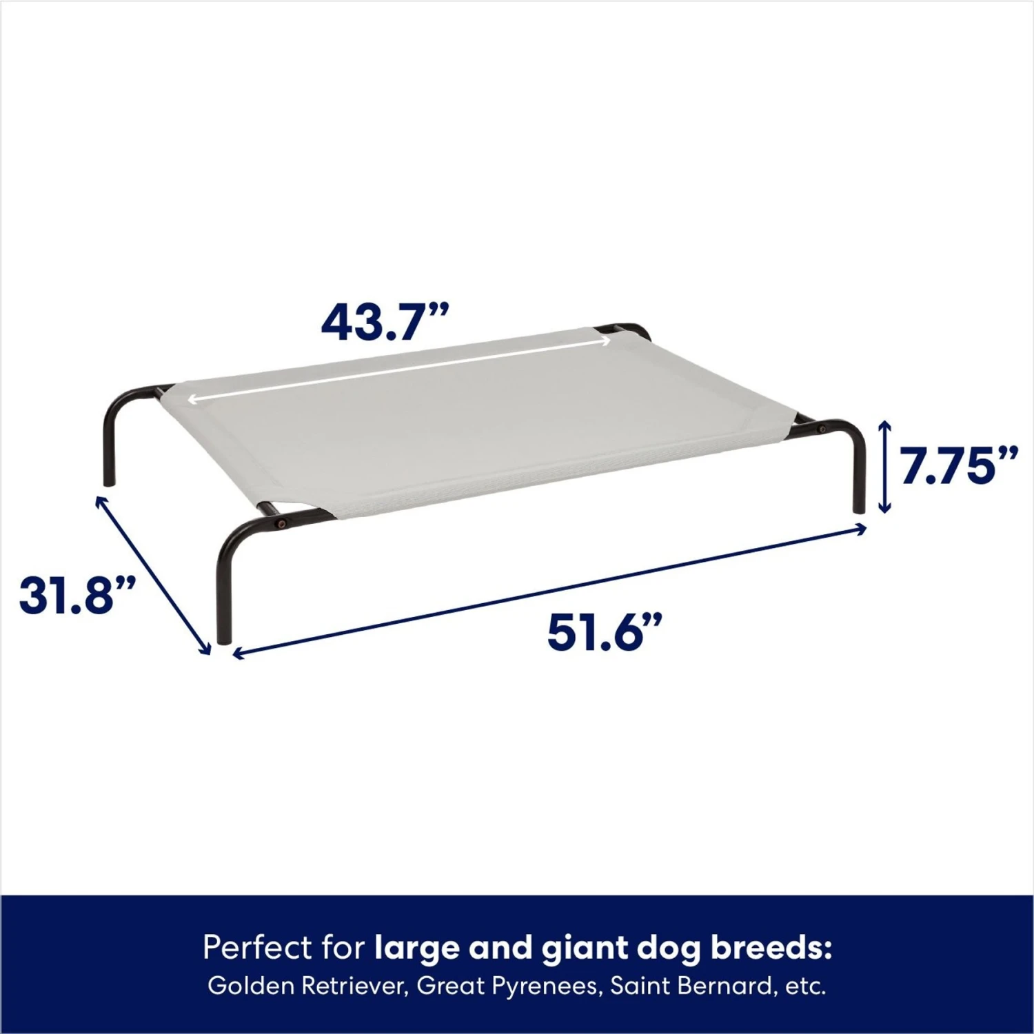 Frisco Steel-Framed Elevated Dog Bed Frisco Steel-Framed Elevated Dog Bed -Frisco Sales Store 112076 PT4. AC SS1800 V1667229537