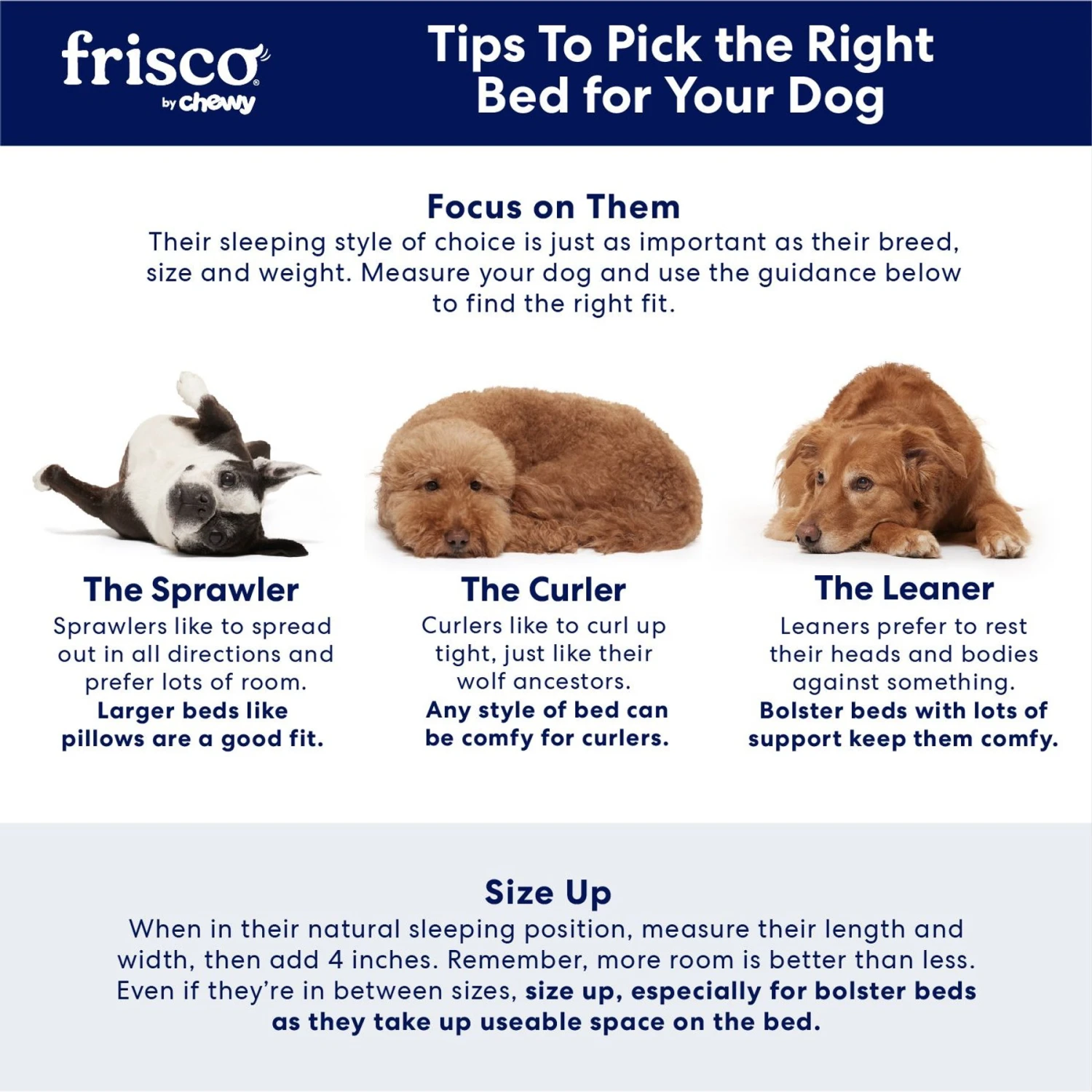 Frisco Steel-Framed Elevated Dog Bed Frisco Steel-Framed Elevated Dog Bed -Frisco Sales Store 112076 PT7. AC SS1800 V1668199309