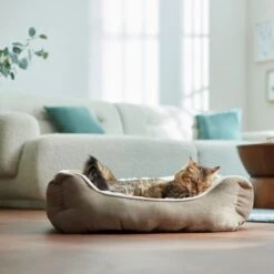 Frisco Rectangular Bolster Cat & Dog Bed -Frisco Sales Store 113275 PT2. AC SS1800 V1657655271