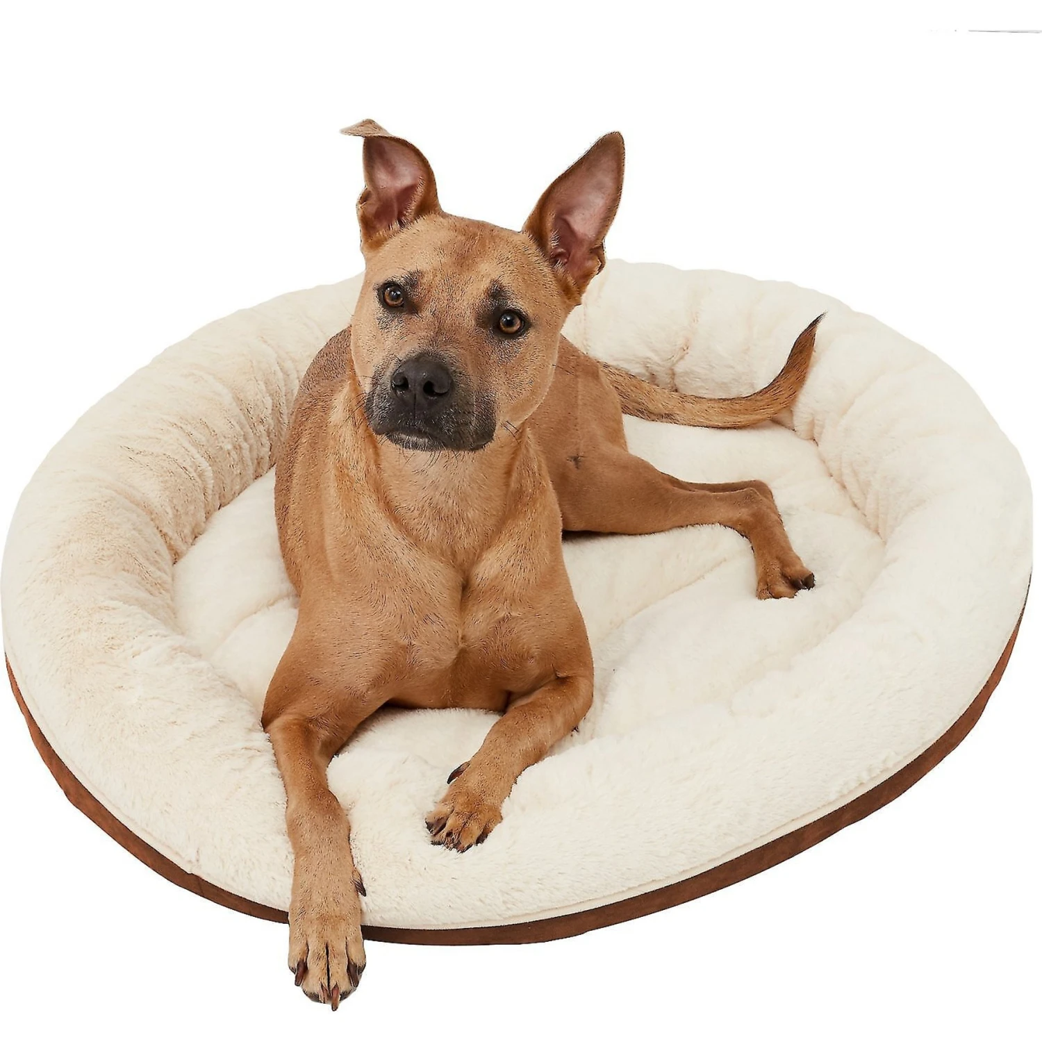 Frisco Round Bolster Cat & Dog Bed Frisco Round Bolster Cat & Dog Bed -Frisco Sales Store 113290 MAIN. AC SS1800 V1566318489