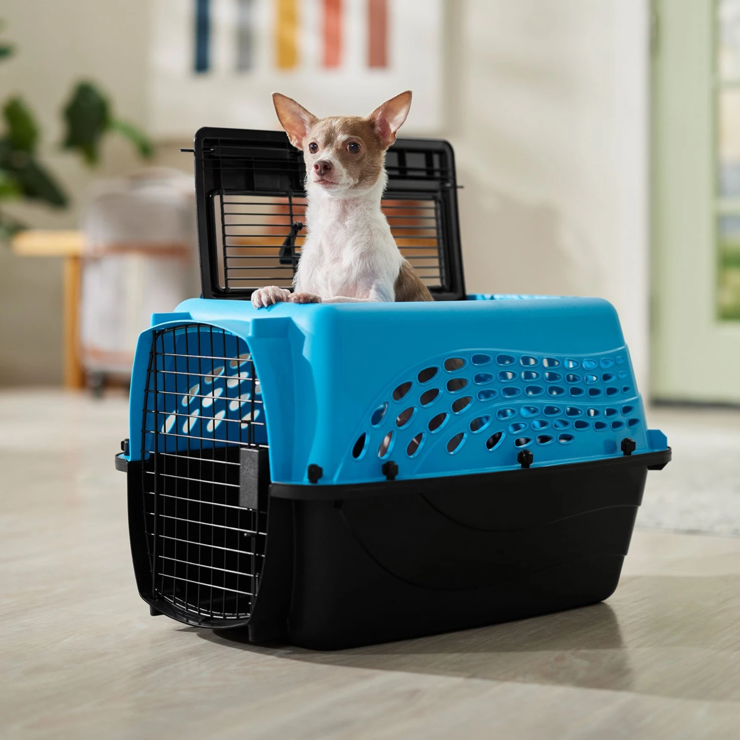 Frisco Two Door Top Load Plastic Dog & Cat Kennel Frisco Two Door Top Load Plastic Dog & Cat Kennel -Frisco Sales Store 122125 MAIN. AC SS1800 V1674156716