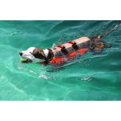 Frisco Ripstop Dog Life Jacket -Frisco Sales Store 140919 PT8. AC SS1800 V1540476454