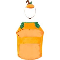 Frisco Pumpkin Dog & Cat Costume -Frisco Sales Store 144446 PT4. AC SS1800 V1567176587