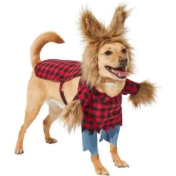 Frisco Front Walking Werewolf Dog & Cat Costume 3 Frisco Front Walking Werewolf Dog & Cat Costume -Frisco Sales Store 144561 PT3. AC SS1800 V1624402152