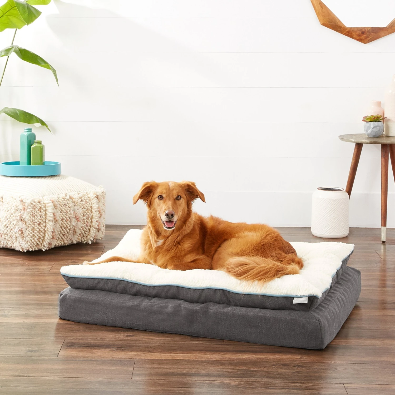 Frisco Plush Orthopedic Pillowtop Dog Bed w/Removable Cover Frisco Plush Orthopedic Pillowtop Dog Bed W/Removable Cover -Frisco Sales Store 144858 MAIN. AC SS1800 V1566404662