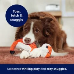 Frisco Fox Skinny Plush Squeaky Dog Toy -Frisco Sales Store 147049 PT5. AC SS1800 V1691776638