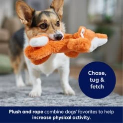 Frisco Fox Plush With Inside Rope Squeaky Dog Toy -Frisco Sales Store 147065 PT4. AC SS1800 V1695671059