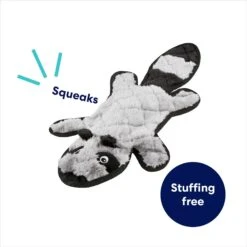 Frisco Raccoon Stuffing-Free Flat Plush Squeaky Dog Toy -Frisco Sales Store 147071 PT2. AC SS1800 V1692826085