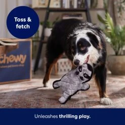 Frisco Raccoon Stuffing-Free Flat Plush Squeaky Dog Toy -Frisco Sales Store 147071 PT5. AC SS1800 V1692989431