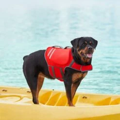 Frisco Neoprene Dog Life Jacket -Frisco Sales Store 152465 PT7. AC SS1800 V1631058734