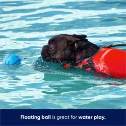 Frisco Foam Rubber Floating Fetch Ball No Squeak Dog Toy -Frisco Sales Store 152798 PT3. AC SS1800 V1686579688