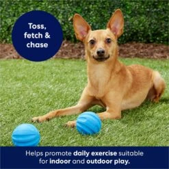Frisco Foam Rubber Floating Fetch Ball No Squeak Dog Toy -Frisco Sales Store 152798 PT4. AC SS1800 V1686579140