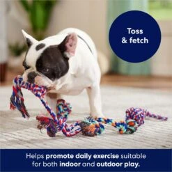 Frisco Rope Multipack Dog Toy -Frisco Sales Store 152838 PT2. AC SS1800 V1686579143