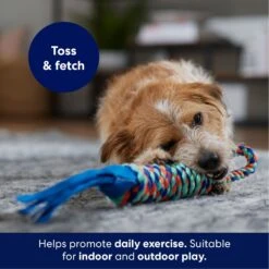 Frisco Rope With Handle & Tassels Dog Toy -Frisco Sales Store 152840 PT3. AC SS1800 V1695241916