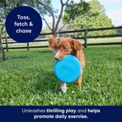Frisco Fetch Rubber Flyer Dog Toy 2 Frisco Fetch Rubber Flyer Dog Toy -Frisco Sales Store 152848 PT5. AC SS1800 V1692370079