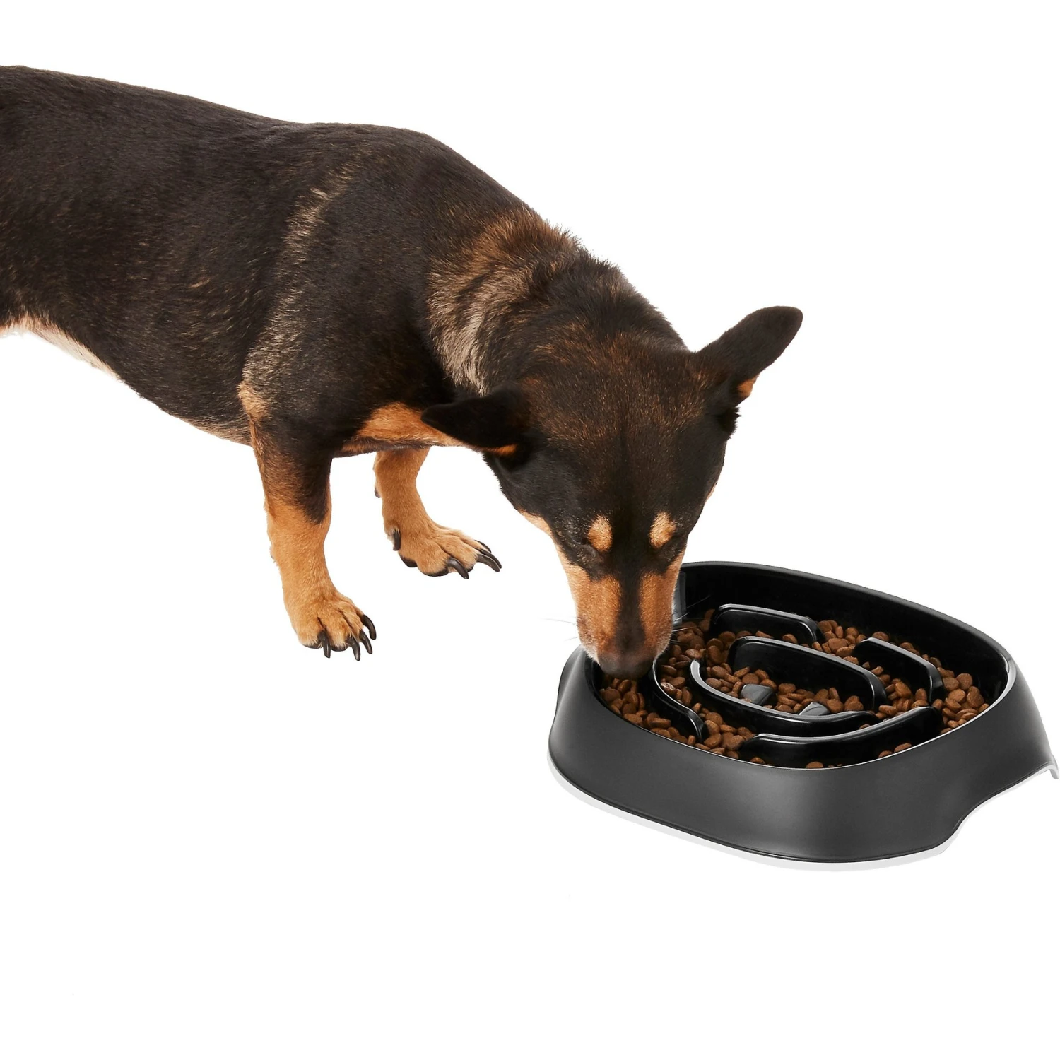 Frisco Non-Skid Slow Feeder Dog & Small Pet Bowl Frisco Non-Skid Slow Feeder Dog & Small Pet Bowl -Frisco Sales Store 155648 MAIN. AC SS1800 V1578432852