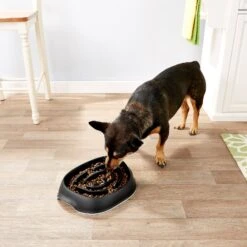 Frisco Non-Skid Slow Feeder Dog & Small Pet Bowl 4 Frisco Non-Skid Slow Feeder Dog & Small Pet Bowl -Frisco Sales Store 155648 PT4. AC SS1800 V1553538724