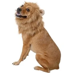 Frisco Lion Mane Dog & Cat Costume