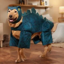 Frisco Stegosaurus Dinosaur Dog & Cat Costume -Frisco Sales Store 158777 PT7. AC SS1800 V1567180627