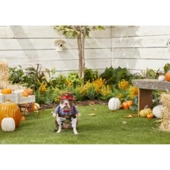 Frisco Front Walking Cowboy Dog & Cat Costume -Frisco Sales Store 158842 PT3. AC SS1800 V1567176047