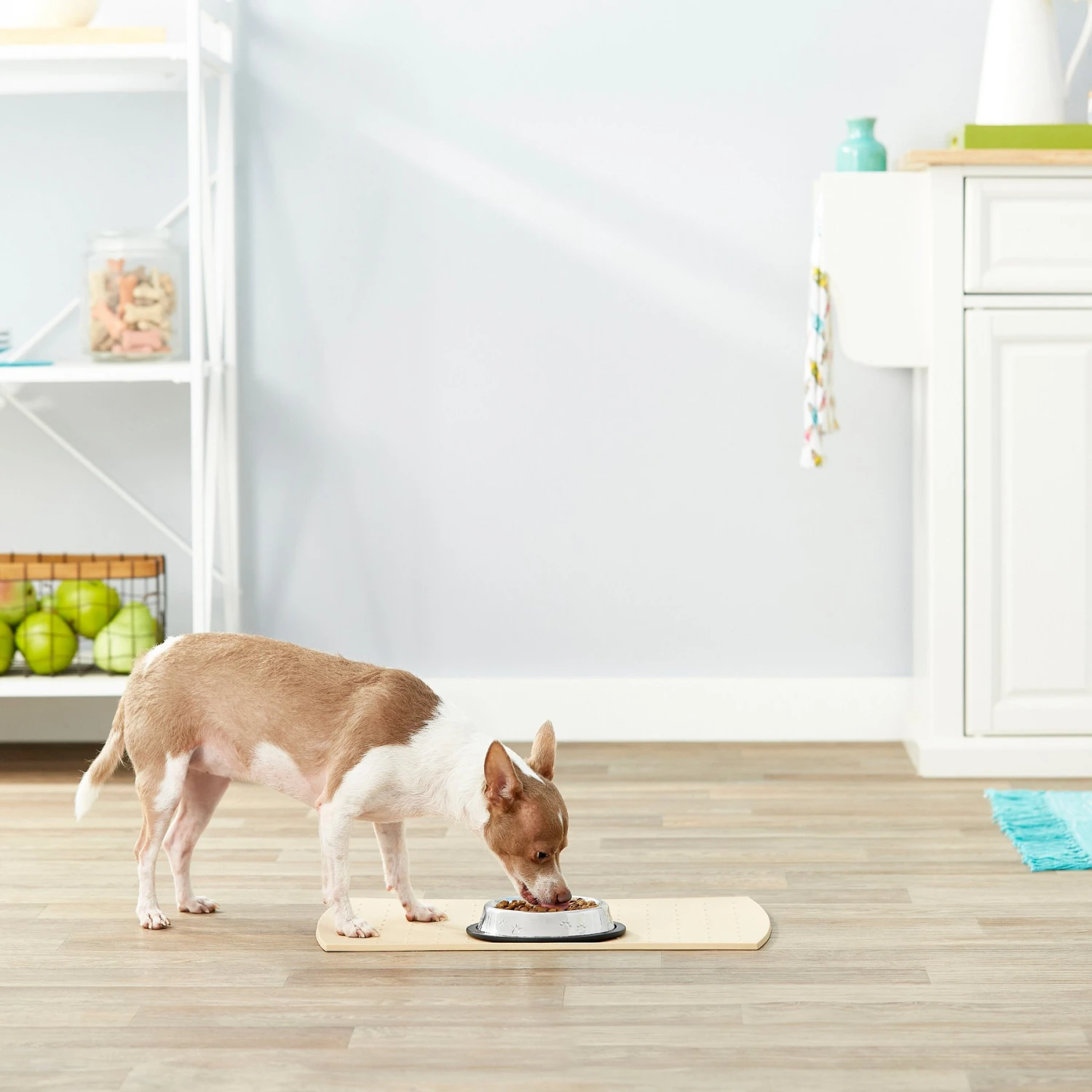 Frisco Non-Skid Stainless Steel Bowl Frisco Non-Skid Stainless Steel Bowl -Frisco Sales Store 159860 PT3. AC SS1800 V1570543131