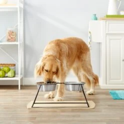 Frisco Pyramid Elevated Stainless Steel Double Diner Dog & Cat Bowl -Frisco Sales Store 159884 PT3. AC SS1800 V1561123346