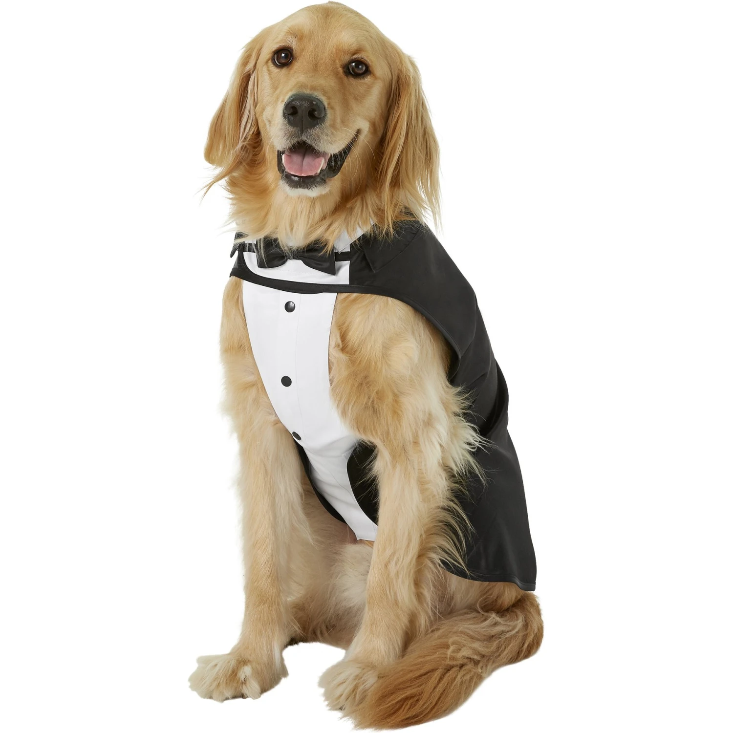 Frisco Formal Dog & Cat Tuxedo, Black Frisco Formal Dog & Cat Tuxedo, Black -Frisco Sales Store 160819 Main. AC SS1800 V1564075074