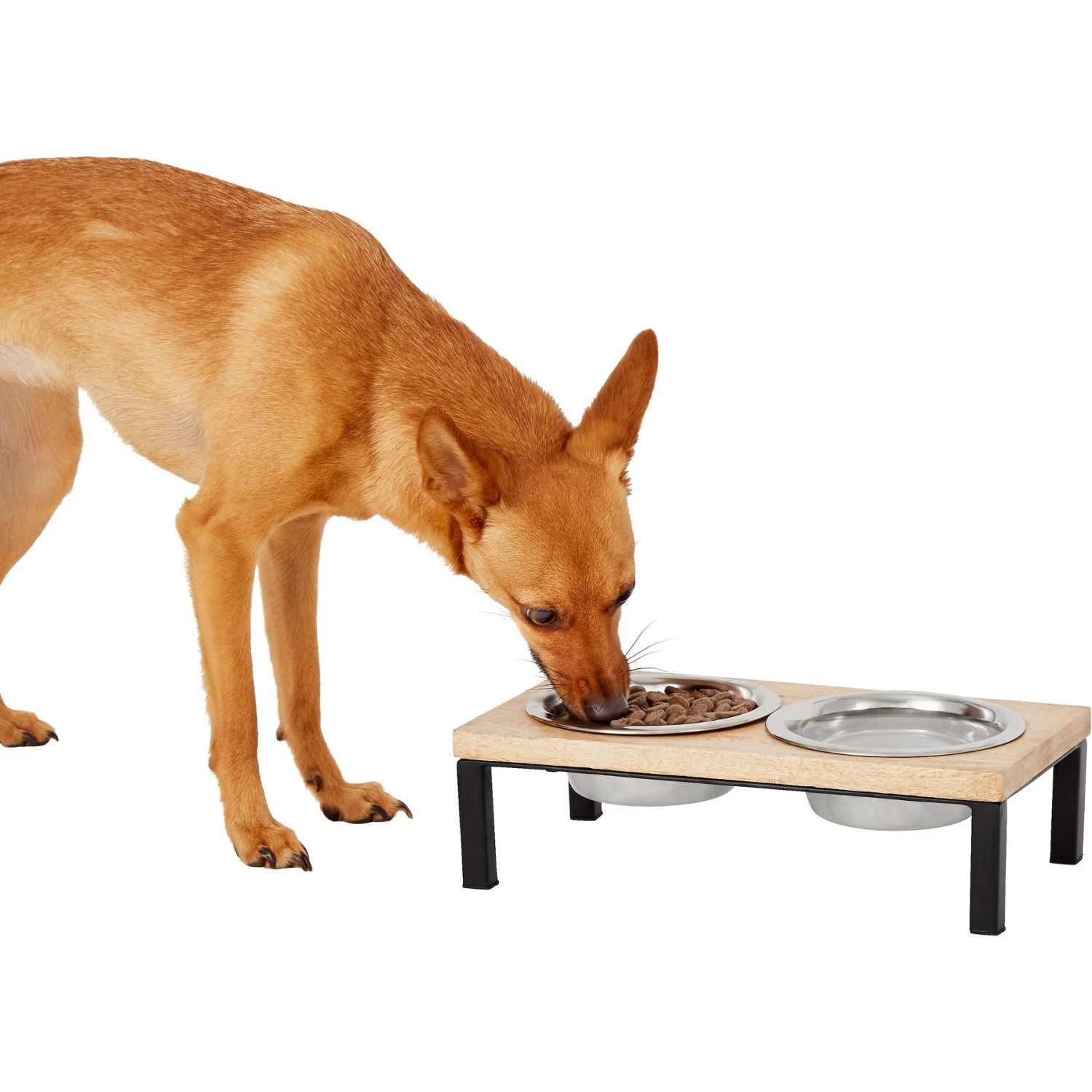Frisco Wood Elevated Stainless Steel Double Diner Dog & Cat Bowl Frisco Wood Elevated Stainless Steel Double Diner Dog & Cat Bowl -Frisco Sales Store 161144 MAIN. AC SS1800 V1578432855