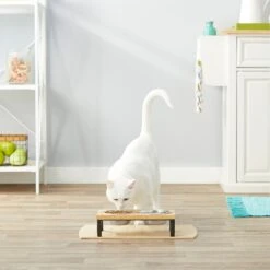 Frisco Wood Elevated Stainless Steel Double Diner Dog & Cat Bowl 3 Frisco Wood Elevated Stainless Steel Double Diner Dog & Cat Bowl -Frisco Sales Store 161144 PT4. AC SS1800 V1561641433