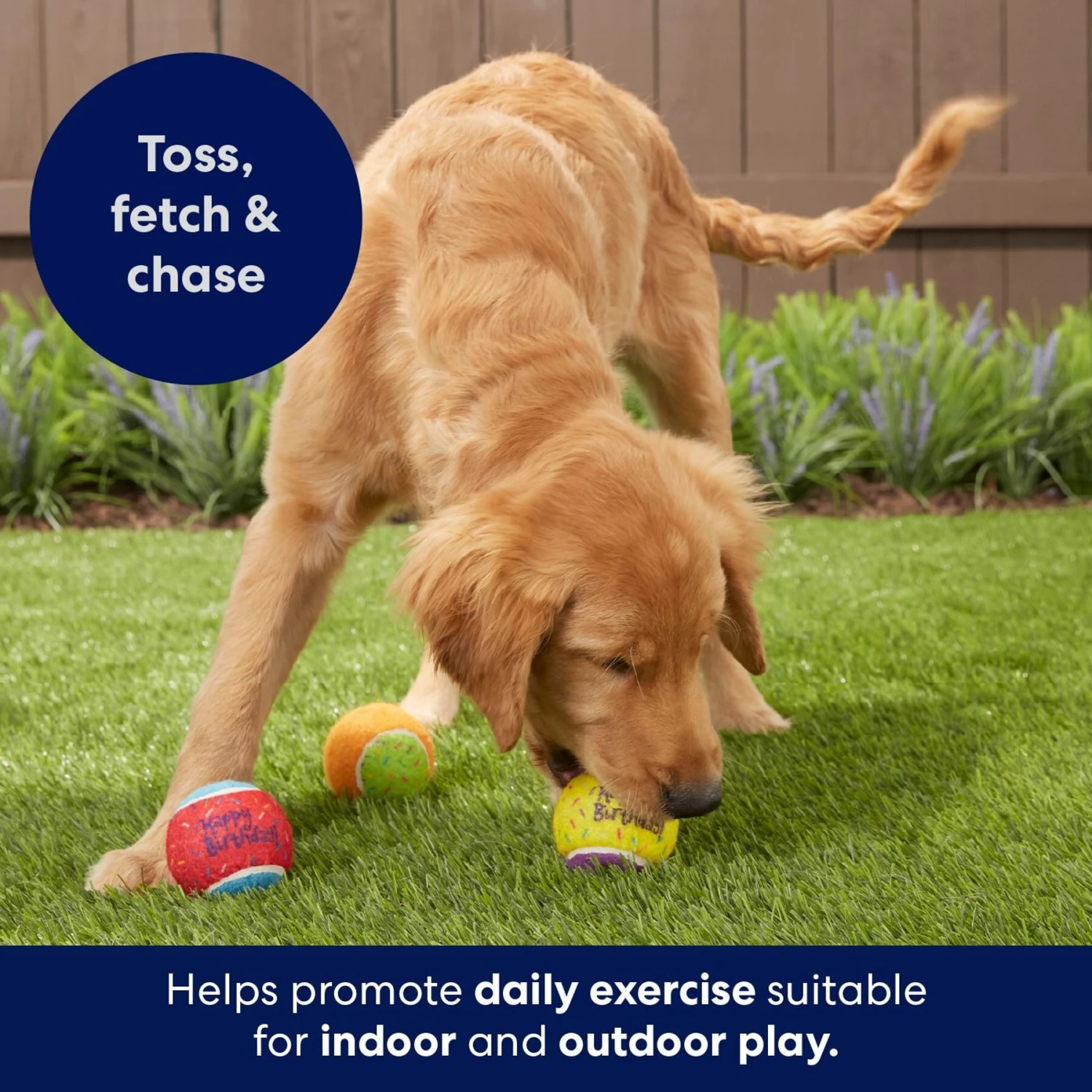 Frisco Birthday Fetch Squeaky Tennis Ball Dog Toy Frisco Birthday Fetch Squeaky Tennis Ball Dog Toy -Frisco Sales Store 162914 PT5. AC SS1800 V1692020098