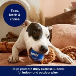Frisco Chewy Fetch Squeaky Tennis Ball Dog Toy -Frisco Sales Store 164314 PT5. AC SS1800 V1691783910