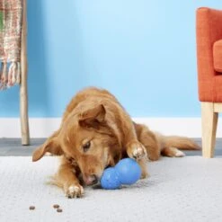 Frisco Snowman Rubber Treat Dispenser Dog Toy -Frisco Sales Store 164769 PT4. AC SS1800 V1563808954