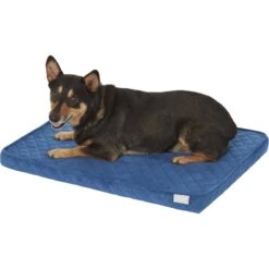 Frisco Quilted Orthopedic Pillow Cat & Dog Bed W/Removable Cover -Frisco Sales Store 165196 PT2. AC SS1800 V1568726226