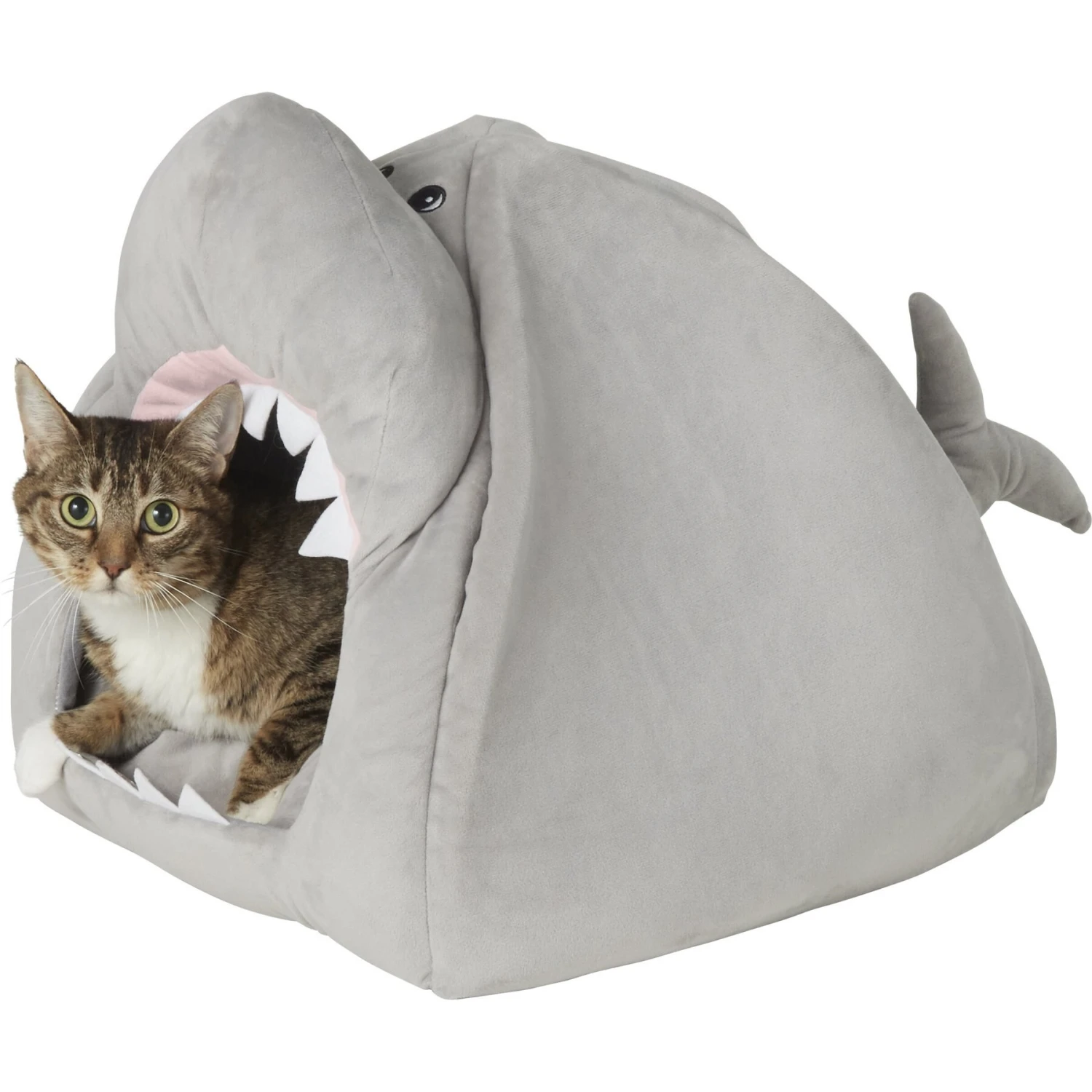 Frisco Novelty Shark Covered Cat & Dog Bed Frisco Novelty Shark Covered Cat & Dog Bed -Frisco Sales Store 165339 PT5. AC SS1800 V1578443454