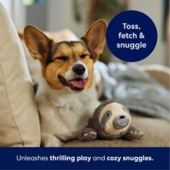 Frisco Sloth Plush Squeaky Dog Toy -Frisco Sales Store 174681 PT4. AC SS1800 V1695671029