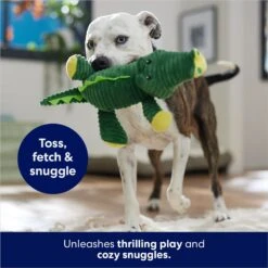 Frisco Alligator Corduroy Plush Squeaky Dog Toy -Frisco Sales Store 174705 PT5. AC SS1800 V1686580081