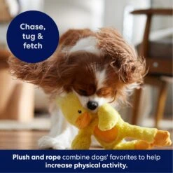 Frisco Duck Plush With Inside Rope Squeaky Dog Toy -Frisco Sales Store 174723 PT4. AC SS1800 V1695671059