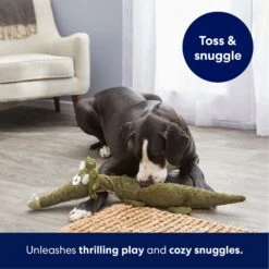 Frisco Triceratops Wagazoo Plush Squeaky Dog Toy -Frisco Sales Store 174747 PT4. AC SS1800 V1695748419