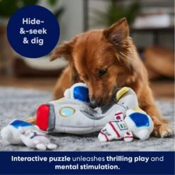 Frisco Rocket Ship Hide & Seek Puzzle Plush Squeaky Dog Toy -Frisco Sales Store 174753 PT4. AC SS1800 V1695670750