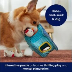 Frisco Chicken Coop Hide & Seek Puzzle Plush Squeaky Dog Toy -Frisco Sales Store 174755 PT5. AC SS1800 V1691783971