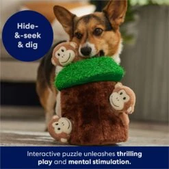 Frisco Monkeys In Tree Hide & Seek Puzzle Plush Squeaky Dog Toy -Frisco Sales Store 174759 PT5. AC SS1800 V1702598595