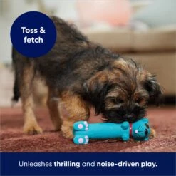 Frisco Latex Squeaky Puppy Toy -Frisco Sales Store 174775 PT5. AC SS1800 V1691784247