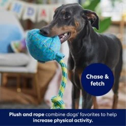 Frisco Birthday Balloon Plush With Rope Squeaky Dog Toy 3 Frisco Birthday Balloon Plush With Rope Squeaky Dog Toy -Frisco Sales Store 177807 PT3. AC SS1800 V1695241973