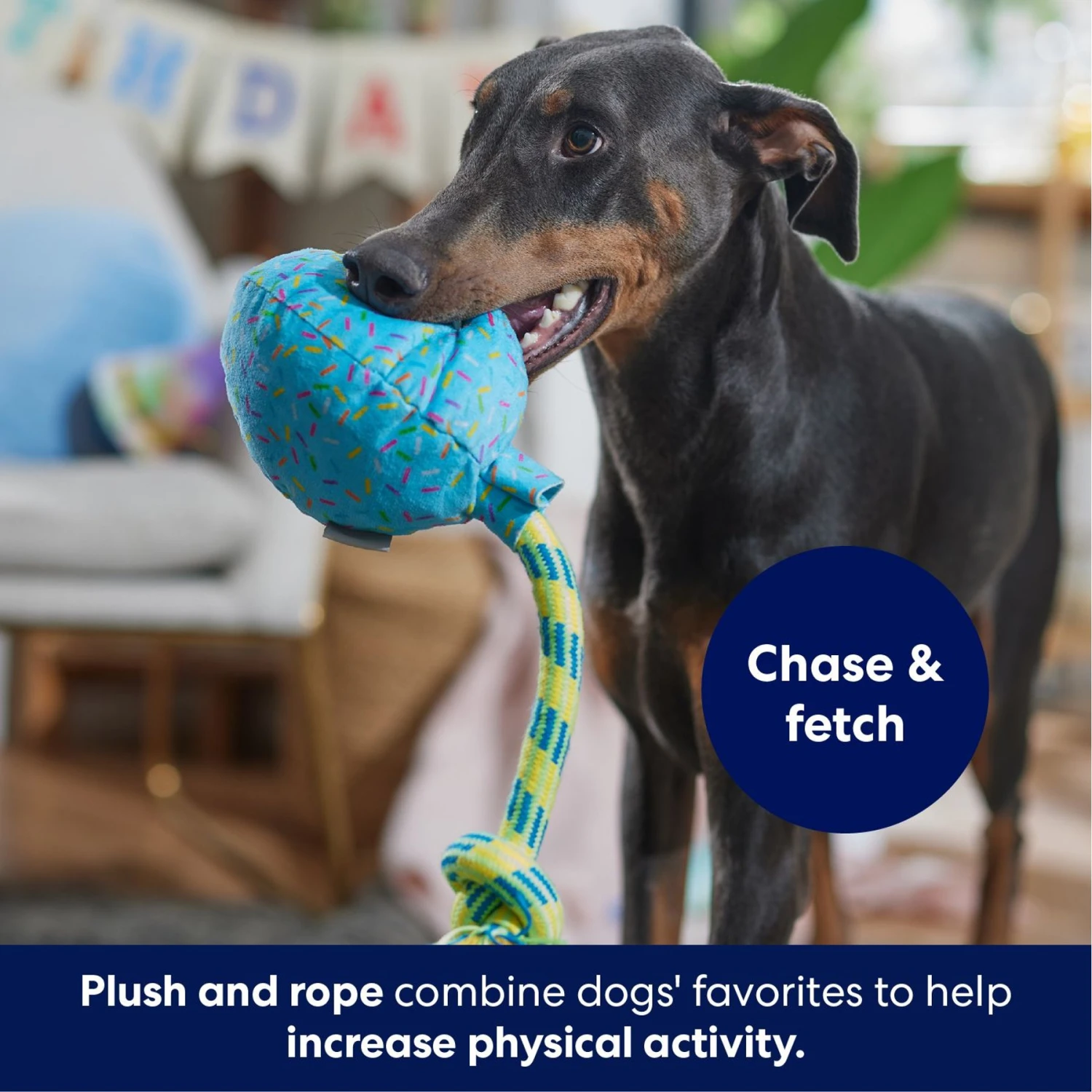 Frisco Birthday Balloon Plush with Rope Squeaky Dog Toy Frisco Birthday Balloon Plush With Rope Squeaky Dog Toy -Frisco Sales Store 177807 PT3. AC SS1800 V1695241973