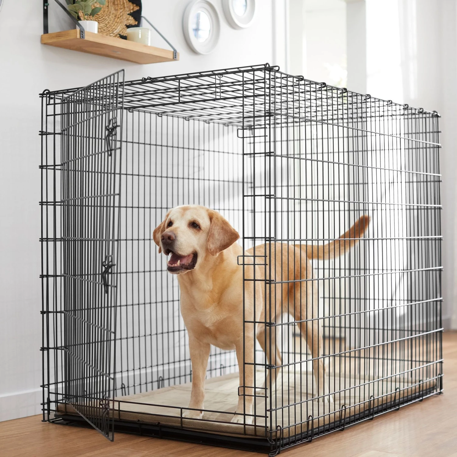Frisco Heavy Duty Single Door Wire Dog Crate Frisco Heavy Duty Single Door Wire Dog Crate -Frisco Sales Store 210677 MAIN. AC SS1800 V1660404765