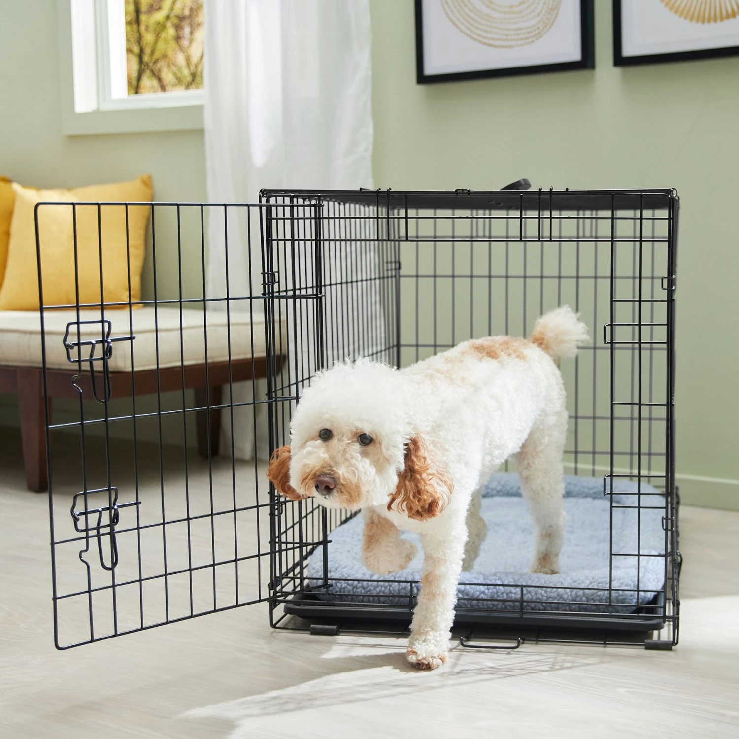 Frisco Fold & Carry Single Door Collapsible Wire Dog Crate & Mat Kit Frisco Fold & Carry Single Door Collapsible Wire Dog Crate & Mat Kit -Frisco Sales Store 212620 MAIN. AC SS1800 V1667229072
