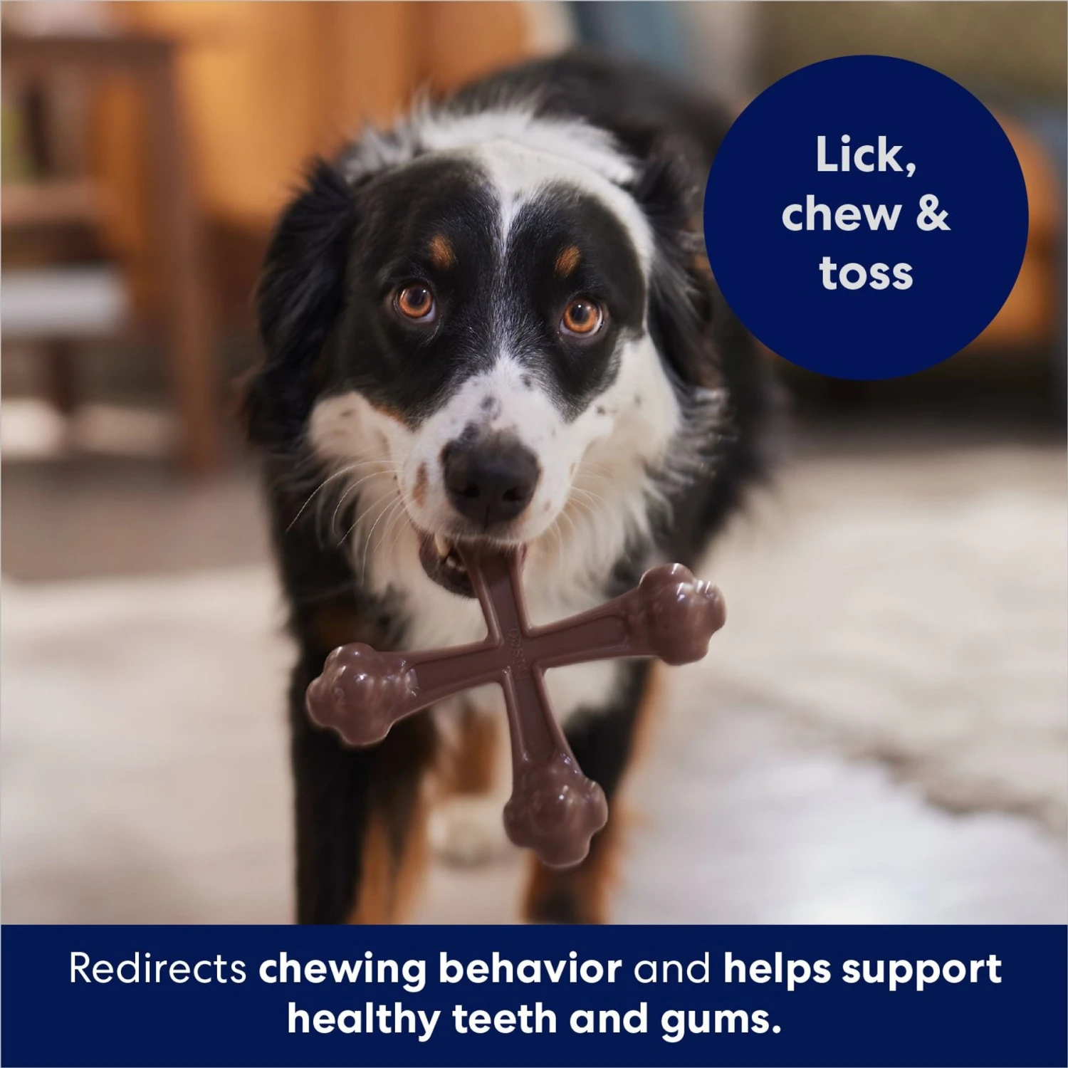 Frisco Bacon Flavor Tough Nylon Dog Chew Toy Frisco Bacon Flavor Tough Nylon Dog Chew Toy -Frisco Sales Store 213430 PT5. AC SS1800 V1691783968