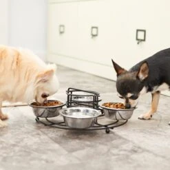 Frisco Multi Pet Feeding 4-Bowls Stainless Steel Dog & Cat Bowls, 0.5 Cup -Frisco Sales Store 213787 PT7. AC SS1800 V1599090064